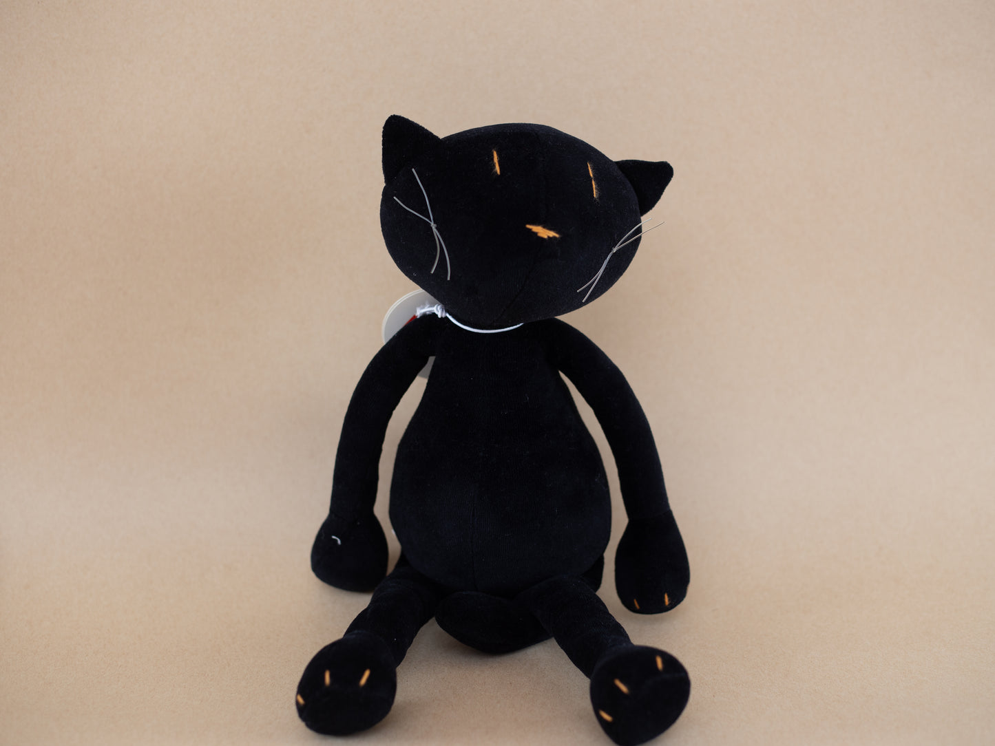 Gisel, the cat - large