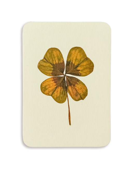 Four Leaf Clover Greeting Card | Birthday Card