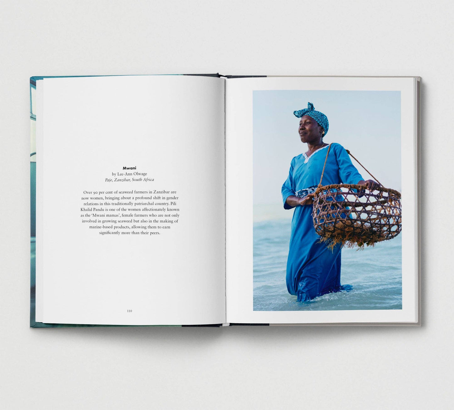 Portrait of Humanity Vol 5