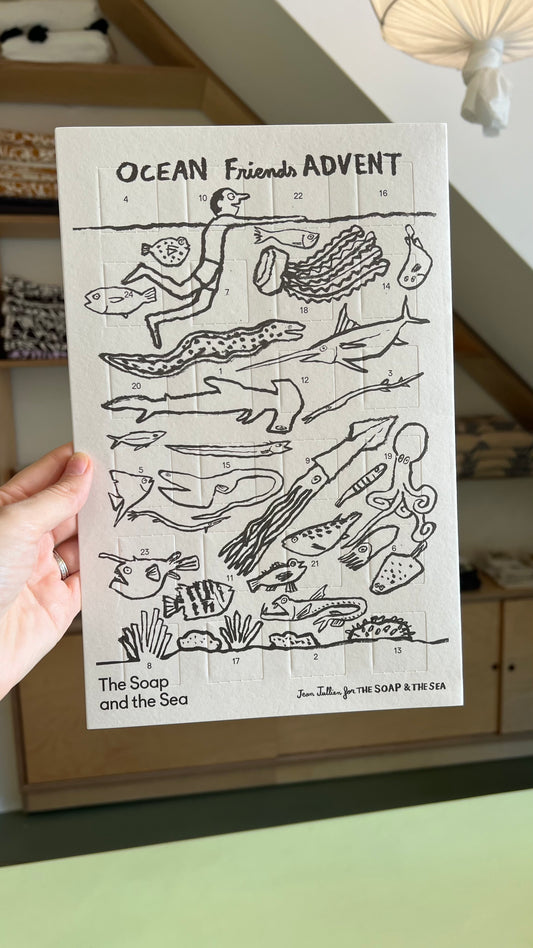 Ocean Friends Advent Calendar