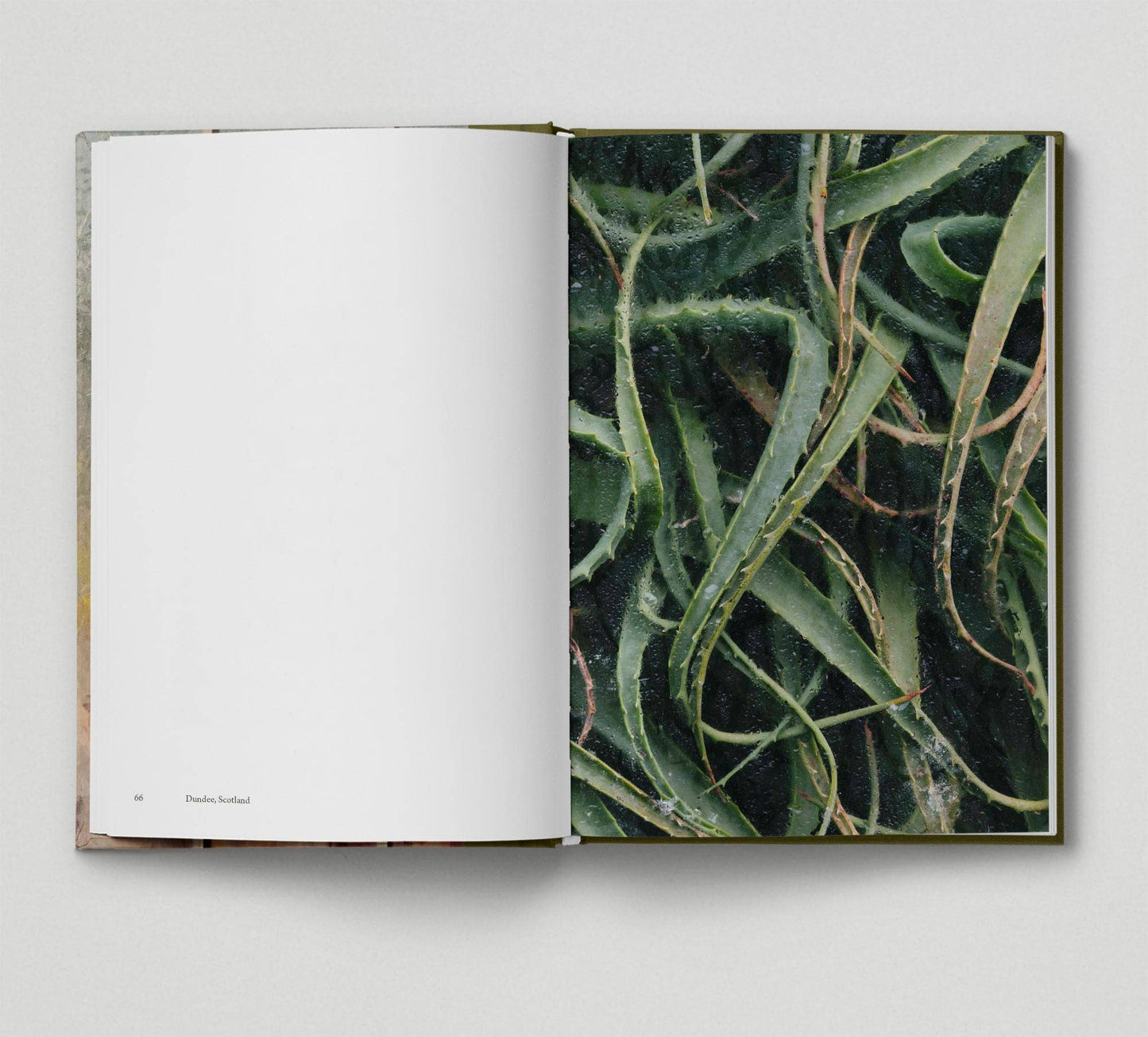 Botanical (Book 6: Tales from the City)