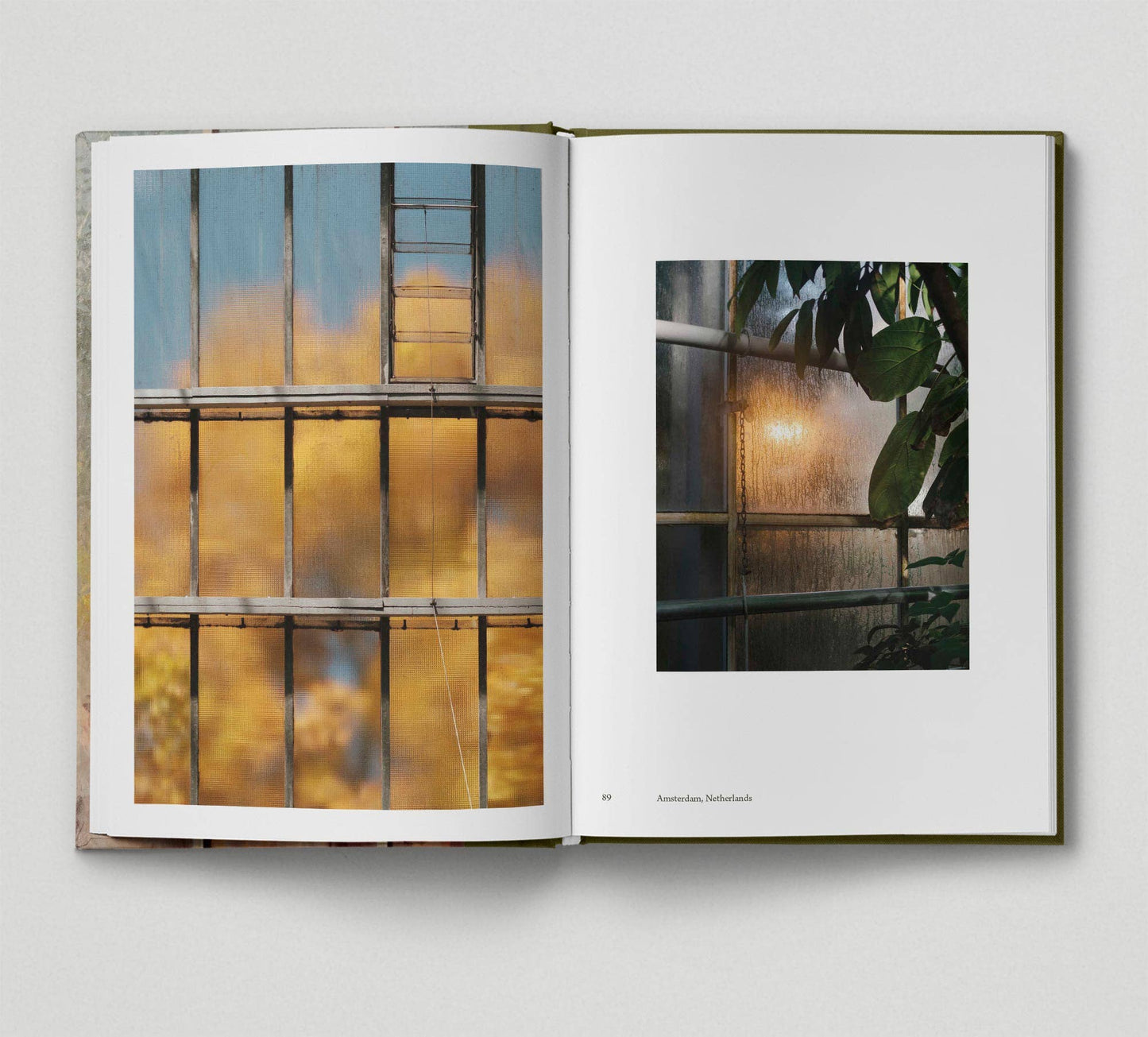 Botanical (Book 6: Tales from the City)