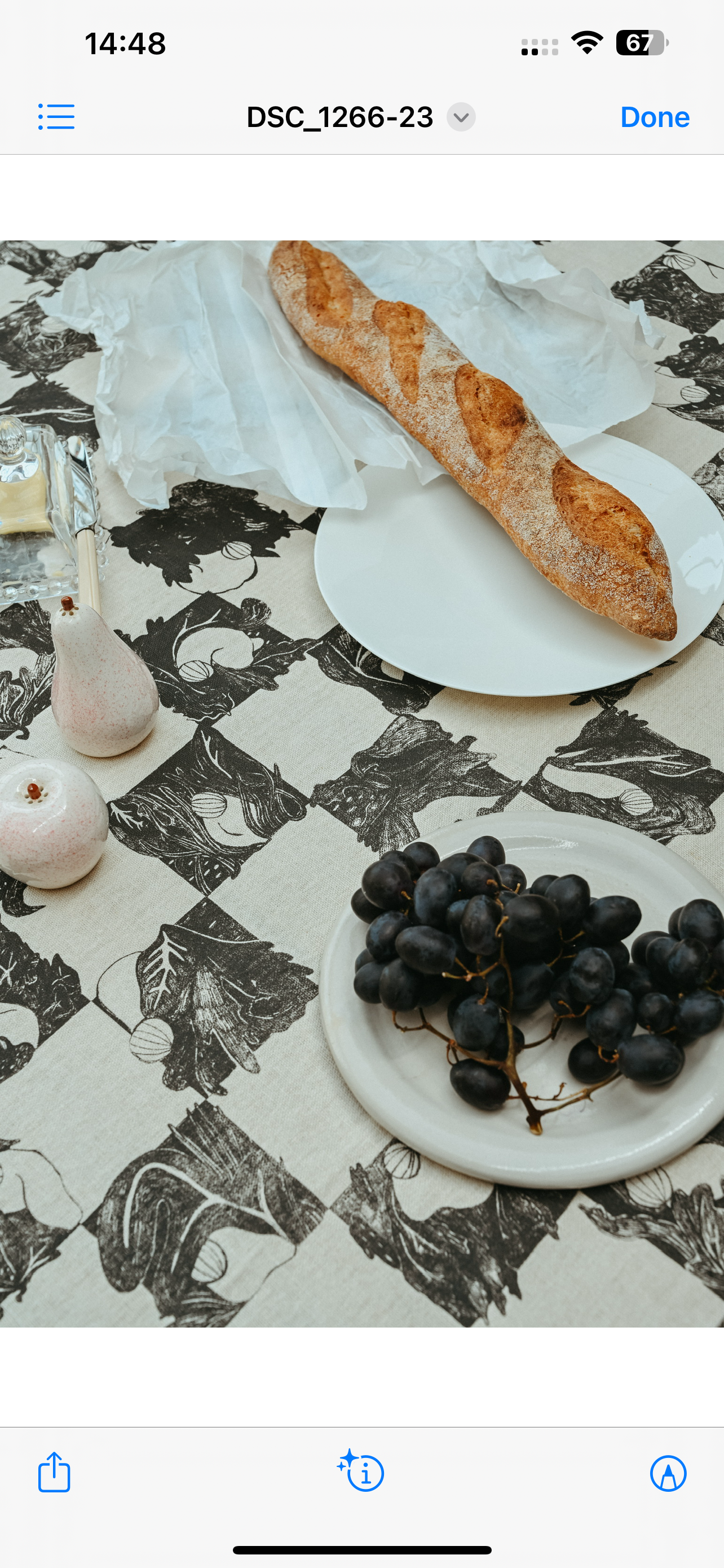 Rousseau check tablecloth