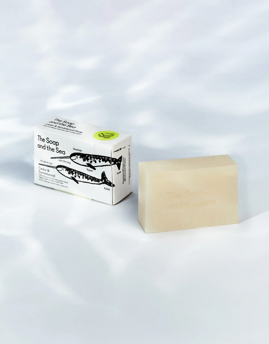 Soap Bar